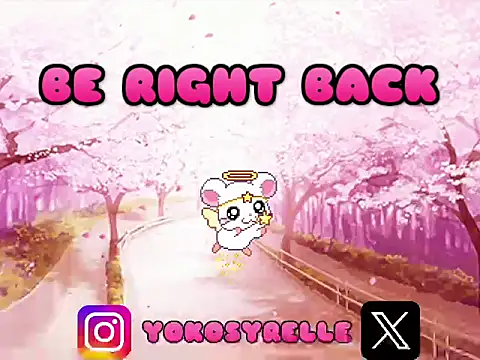 yokocam - YokoCam's free webcam