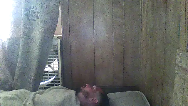 luke_thighwalker2469 live sex cam