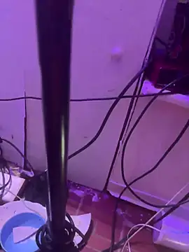 Preview of misterincred