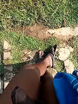 dolphiinn's live cam