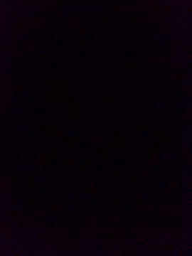 enzo9911 (M young) - 500