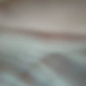 greenman55900 (Ask my age) - Cum