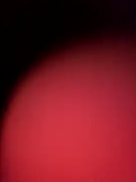 nidge251 - Nidge251's free webcam