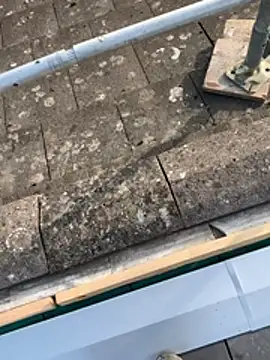 Goldmedall live sex cam