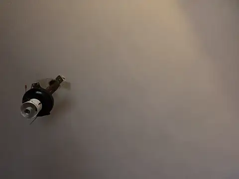 brando2585 - Brando2585's free webcam