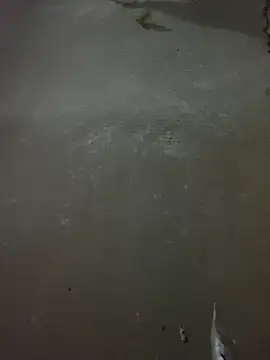 美女-CelesteFox-在线直播