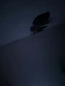 valentinacouple (Ask my age) - Corrida en la cara 🥵