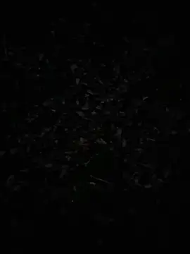 FreezingTie850's live cam