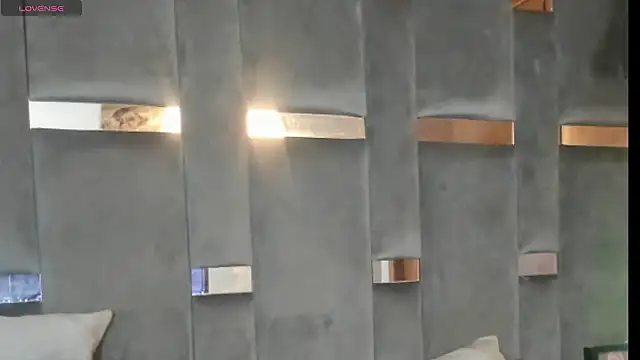 Afbeelding van MeelFox