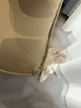 美女qwe522522在线直播