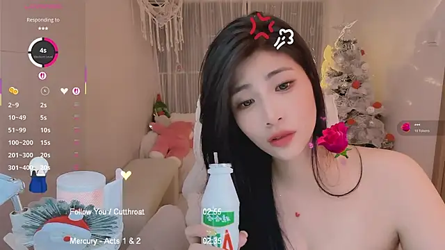 Vaidurya-Yolo webcam