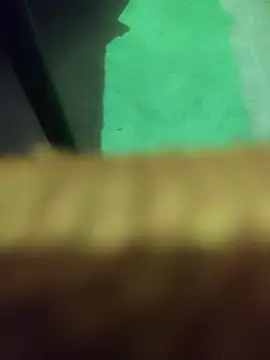 king_night1 - King_night1's free webcam