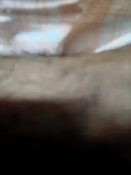 adicma123 live sex cam