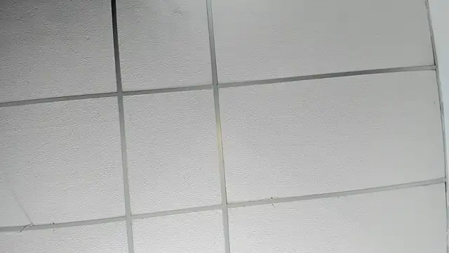 angiexht - Angiexht's free webcam - UK Sex Cams