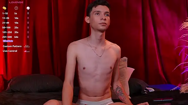 Preview of vicenteferrer