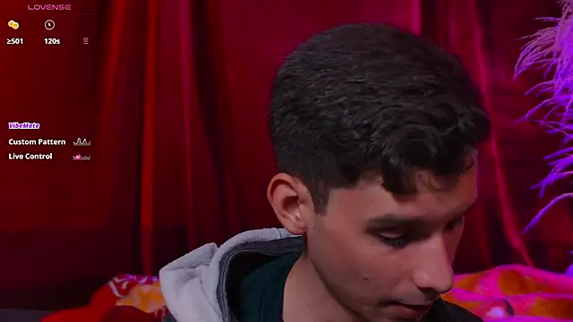 VicenteFerrer webcam