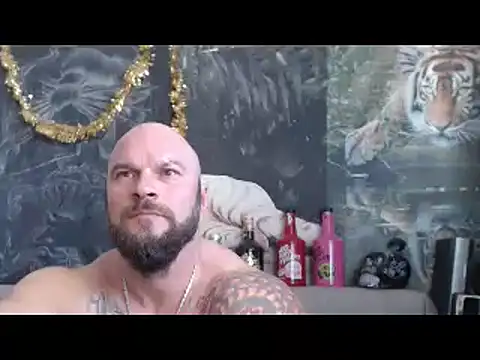 Preview of viking_30