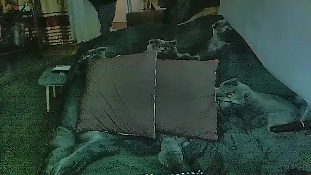 sex2 (F mature) - naked, squirt