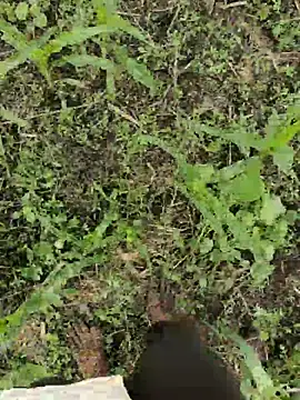 thethunderpo - ThethunderPo's free webcam - UK Sex Cams