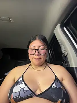 Preview of lismar_fire