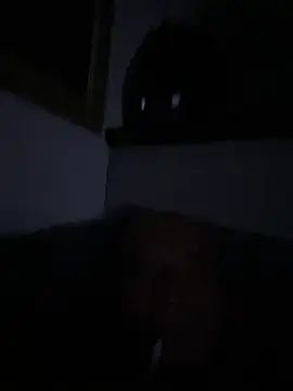 dogfrota (Ask my age) - 15 dias