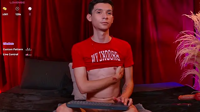 VicenteFerrer webcam