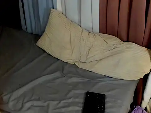 davincihugecock webcam