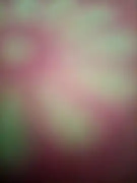 Webcam Model (Nandani-758) is live