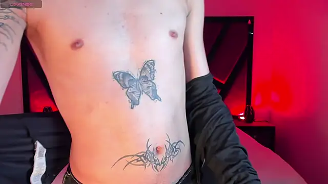 AndyWiilliams webcam