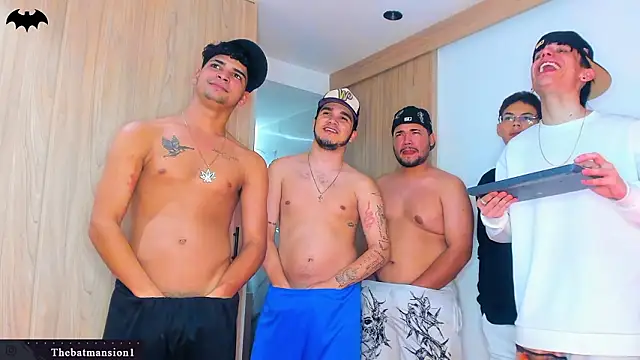 TheBatMansion webcam