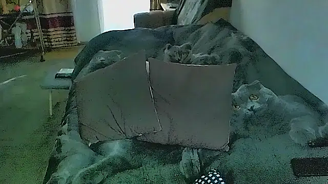 sex2 (F mature) - naked, squirt