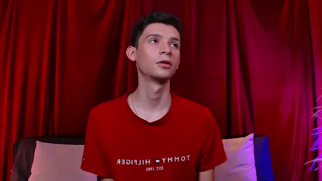 VicenteFerrer webcam