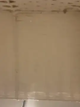 lexuslover687 webcam