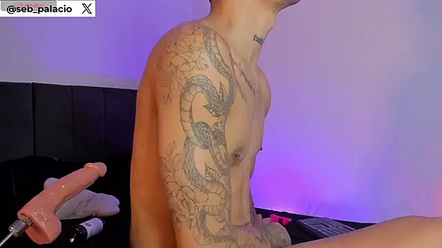 Preview of seb_palacio_