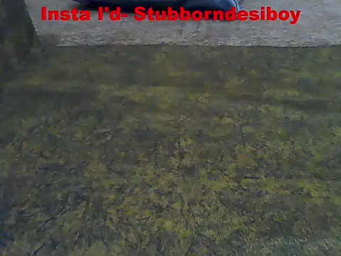 Stubborndesiboy webcam