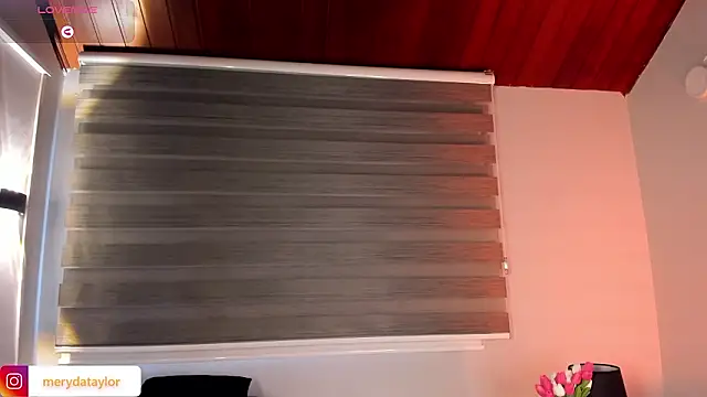MERIDA_TAYLOR live sex cam
