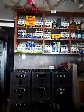 Webcam Model (catalella16)  is live.Free join now!