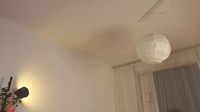 Preview of delilariciey