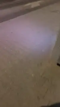 PublicMarekFlashDick webcam