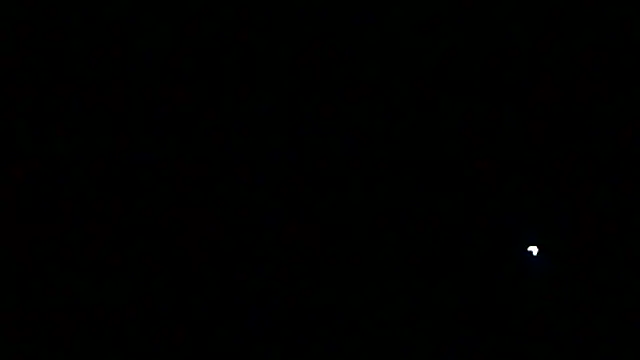 markluvskitty live sex cam