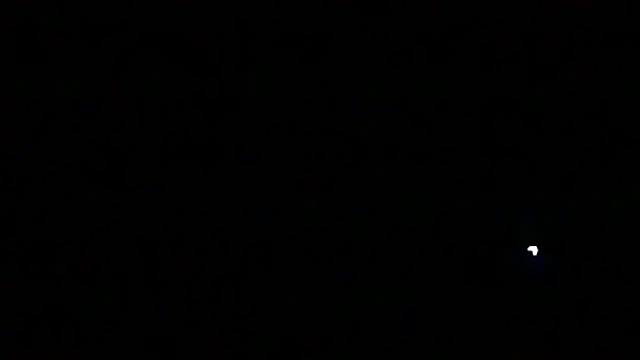 Preview of markluvskitty