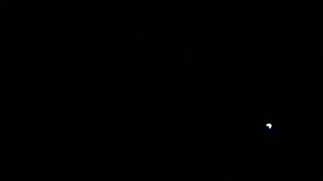 Preview of markluvskitty