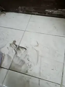 ConvoyedSubgroup live sex cam