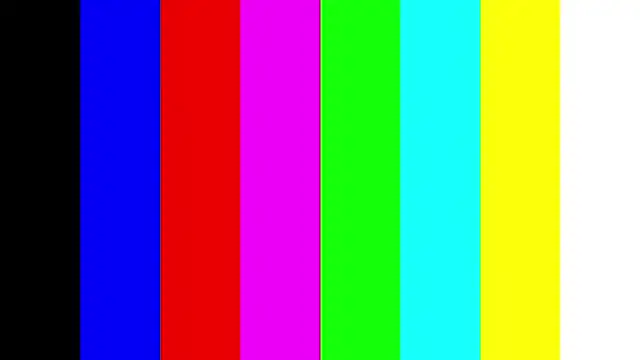 SherleyBorgmann webcam