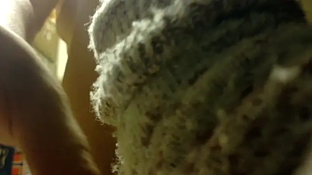 FrumCake live sex cam