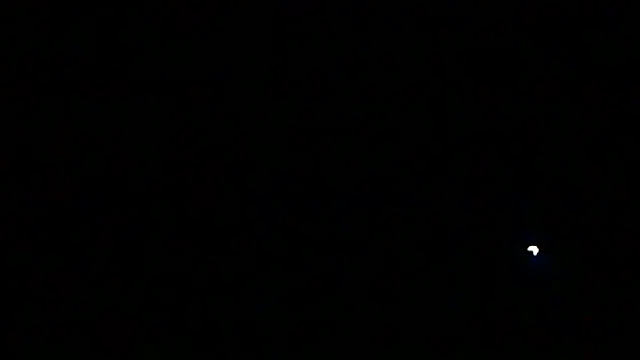 markluvskitty - Markluvskitty's free webcam