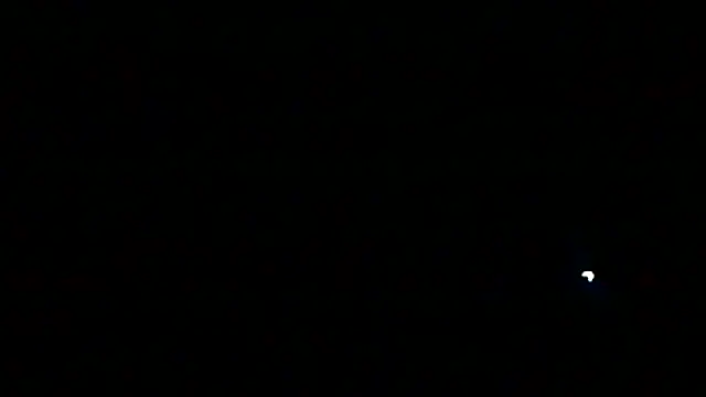 Preview of markluvskitty