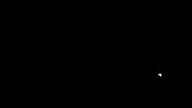 Preview of markluvskitty