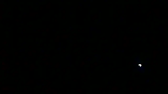 markluvskitty webcam