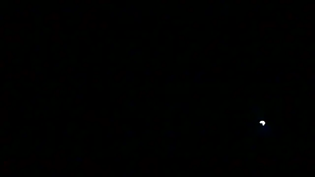 Preview of markluvskitty